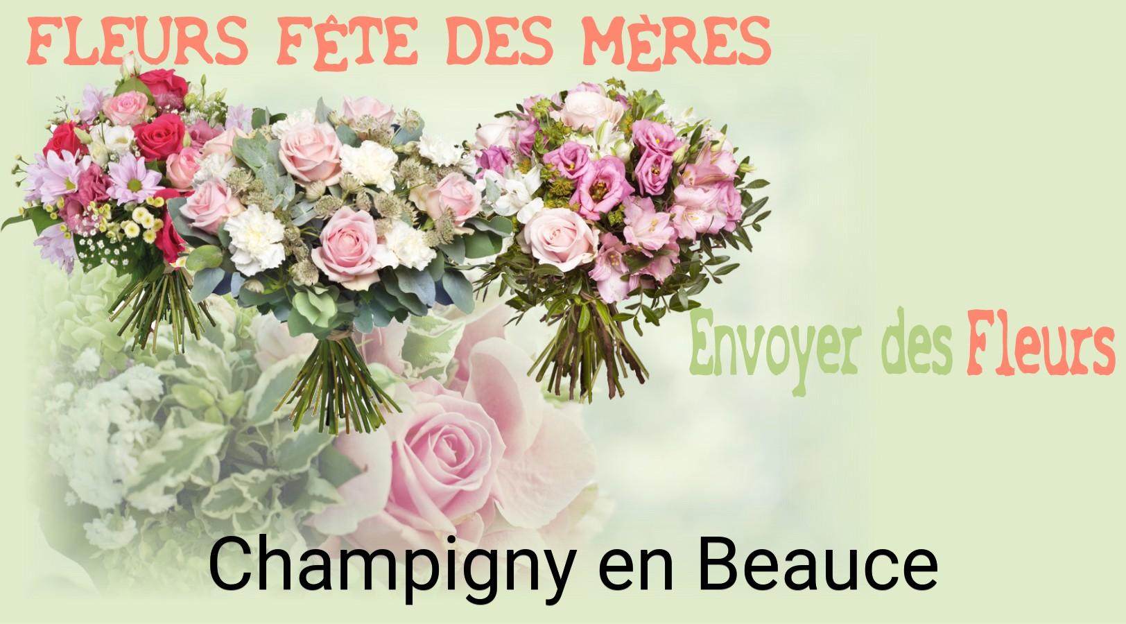 Bouquet de Fête des Mères livré à Champigny-en-Beauce